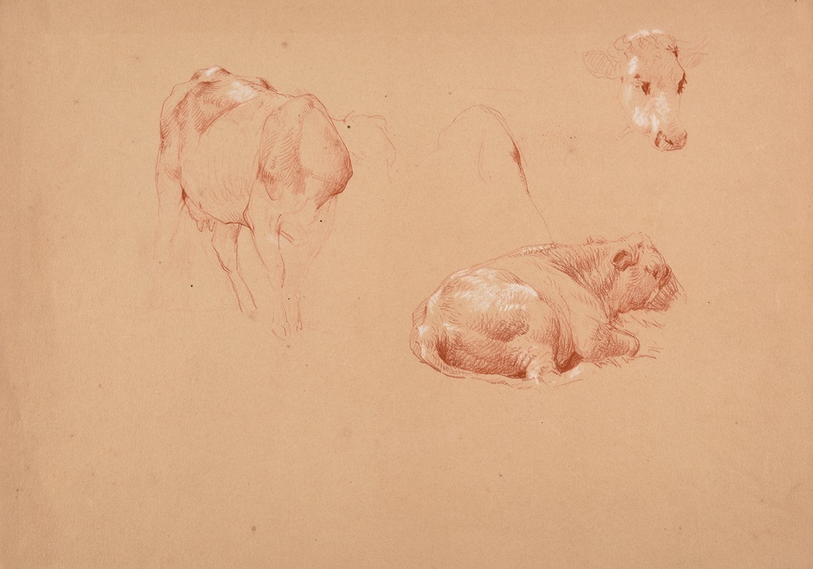 Trois études de bœufs by Жак-Раймон Брассас, 1859 — digital art print download