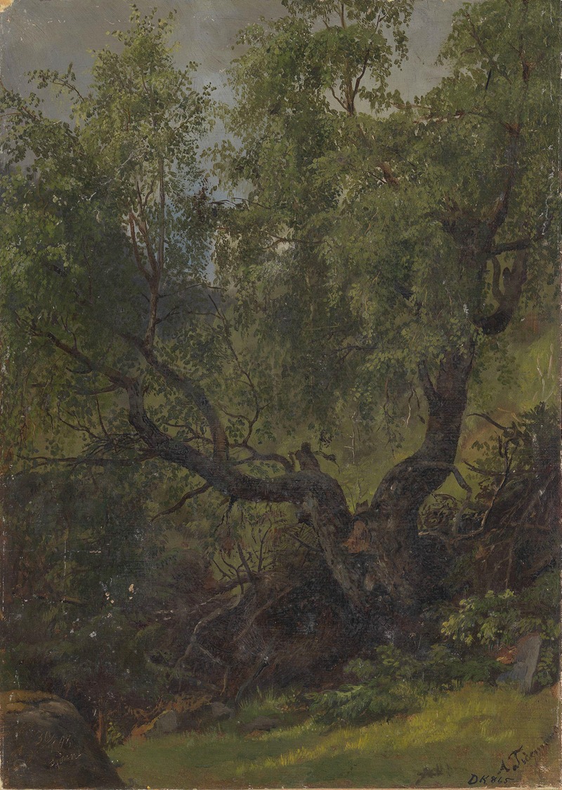 Лесное исследование из Нумедаля by Адольф Тидеманд, 1848 — digital art print download
