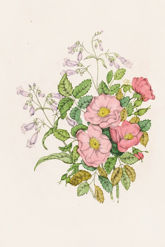 Early Wild Rose, Pentstèmon Beard-Tongue — Agnes Fitzgibbon