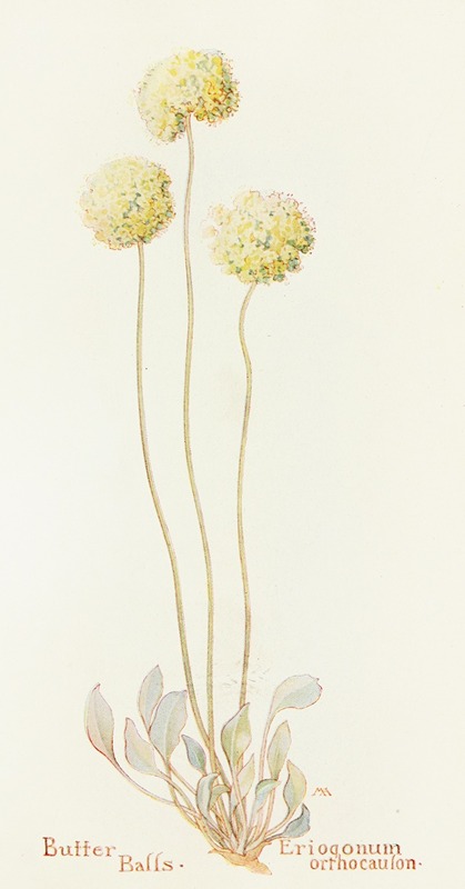 Butter Balls by Margaret Armstrong, 1915 — digital art print download