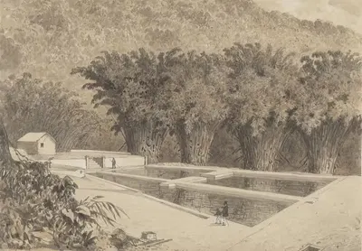 The Reservoir at Maraval by Michel Jean Cazabon, 1857 — digital art print download