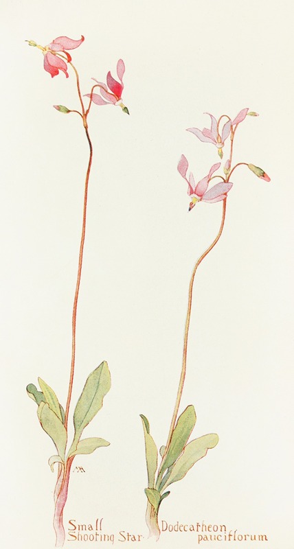 Small Shooting Star by Margaret Armstrong, 1915 — digital art print download