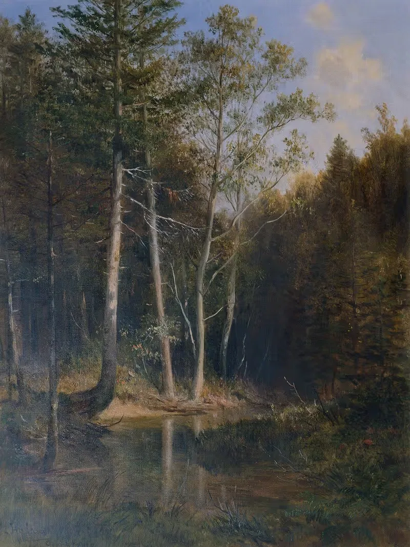 Waldpartie am Gerichtsberg bei Kaumberg — Ludwig Halauska
