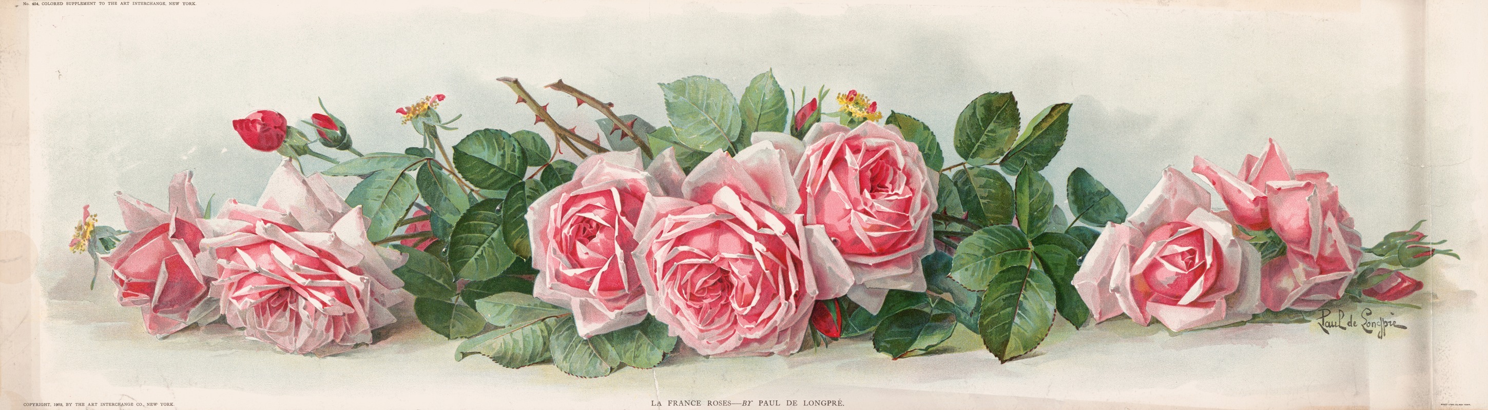 La France roses — Paul de Longpre
