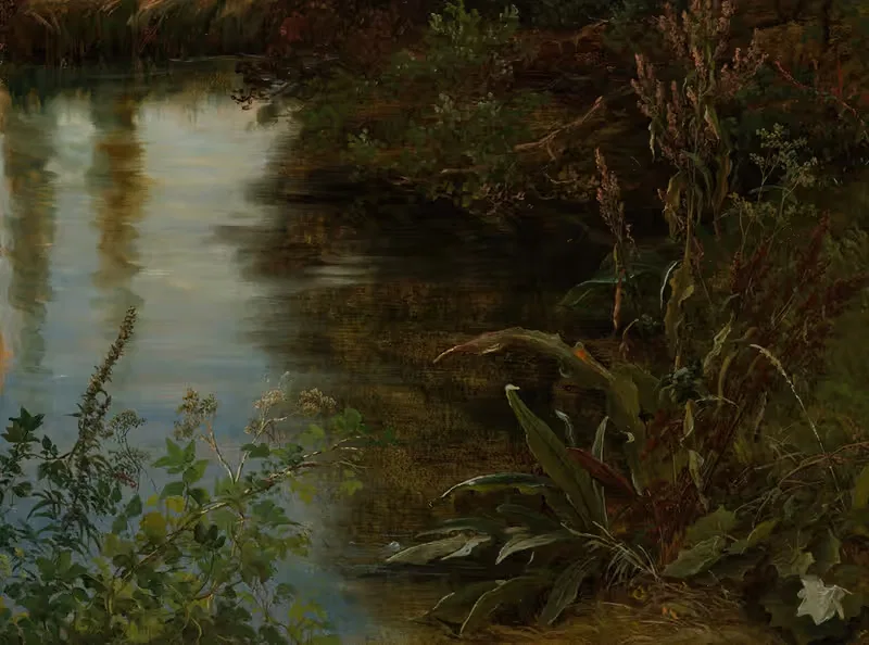 Этюд воды и растений by Томас Фернли, 1837 — digital art print download