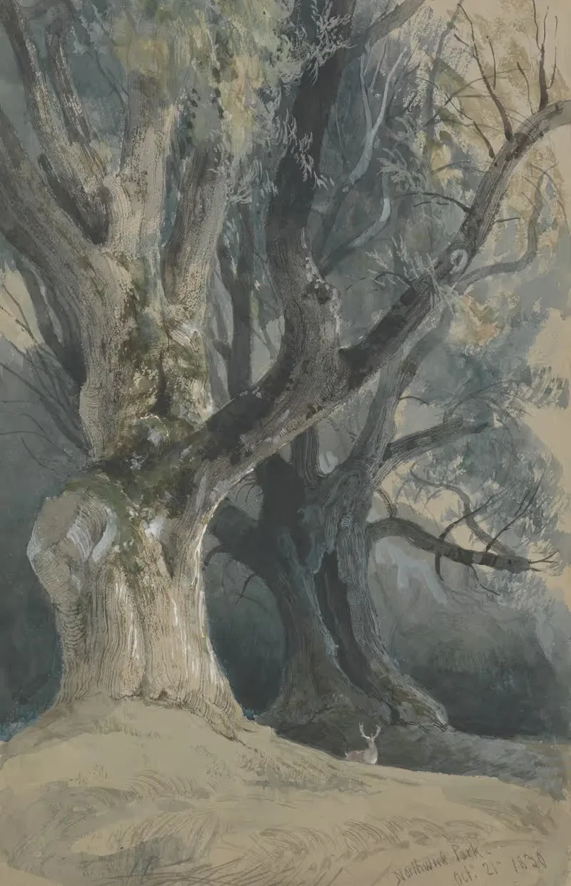 Trees in Northwick Park by David Roberts, 1830 — digital art print download
