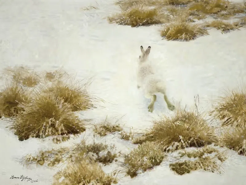 Винтерхаре Бланд Тувор (Снежный заяц) by Бруно Лильефорс, 1906 — digital art print download