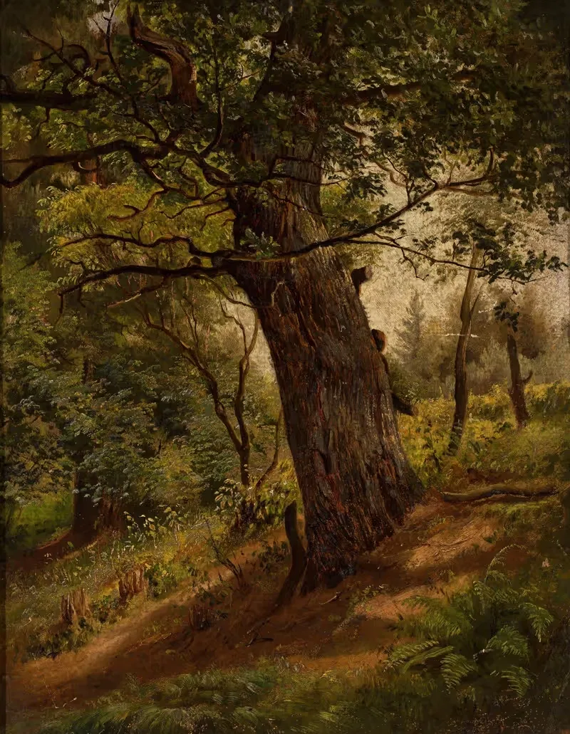 Study of a tree by Wilhelm Peter Bayer, 1861 — digital art print download
