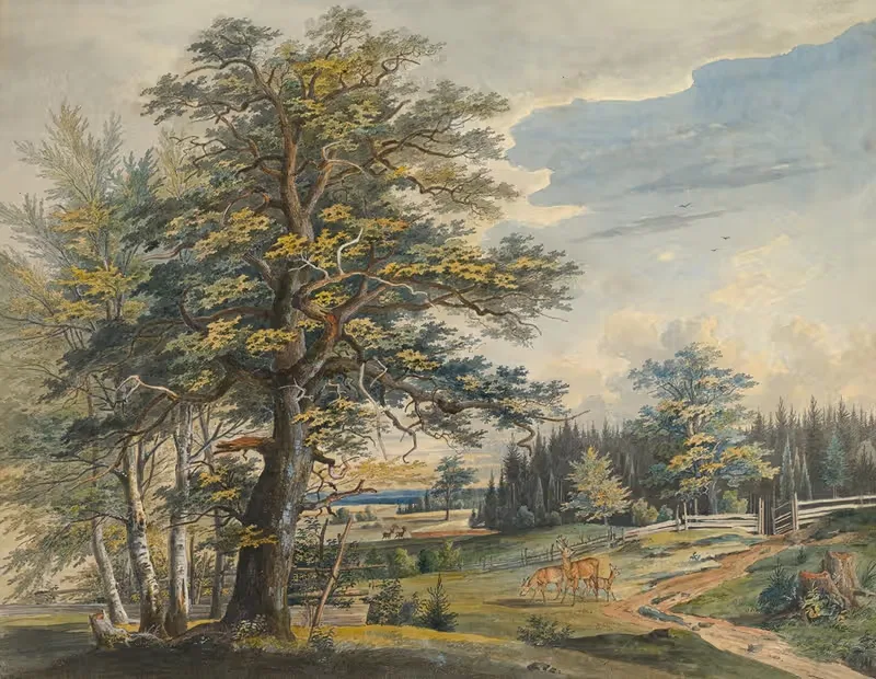 Лесистый пейзаж с оленем by Карл Август Лебше, 1800–1877 — digital art print download