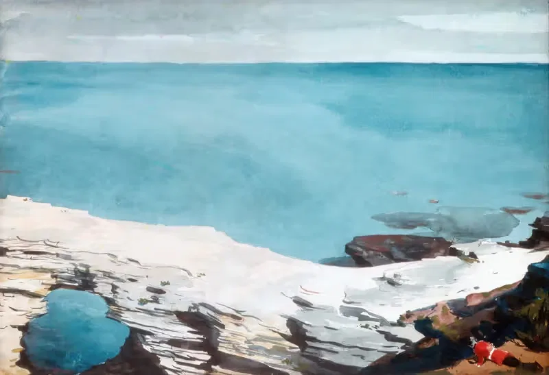 Natural Bridge, Bermuda by Winslow Homer — digital art print download