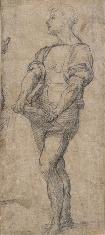 Standing youth holding a book by Андреа дель Сарто — digital art print download