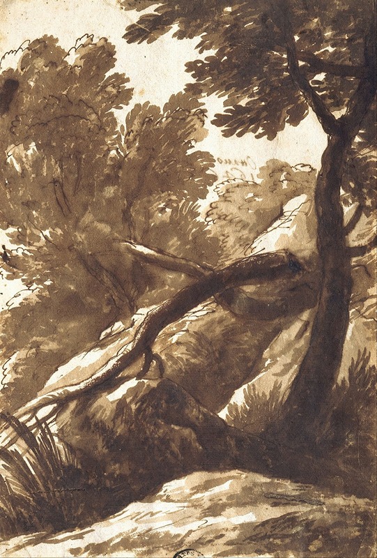 Wooded Landscape by Bartolomeo Torregiani, 1646 — digital art print download