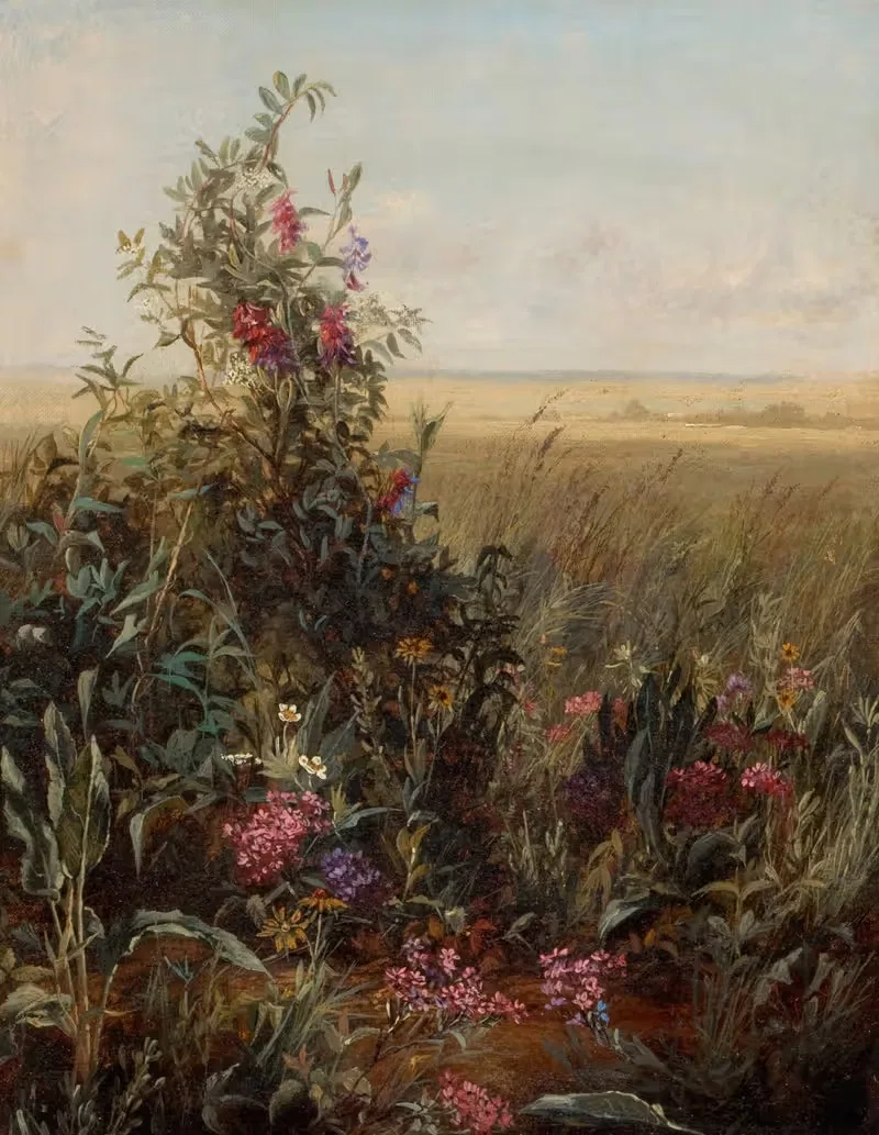 Wildflowers against a Vast Landscape — Circle Of Fidelia Bridges