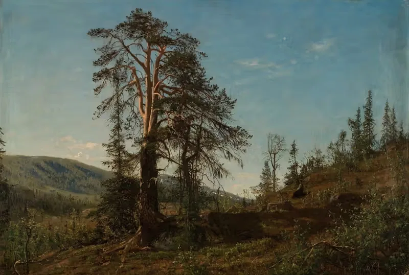 Вингерашея, Телемарк by Амальдус Нильсен, 1866 — digital art print download