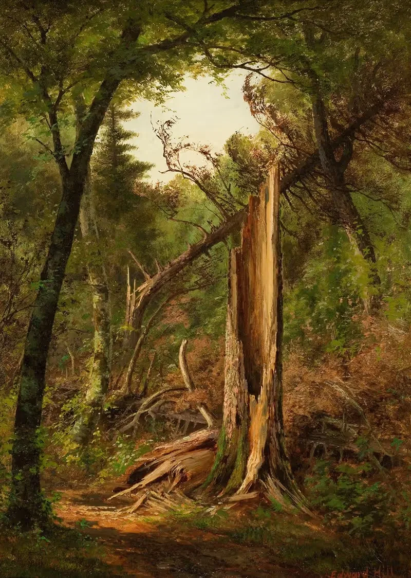 Лесной интерьер by Эдвард Хилл, 1880 — digital art print download