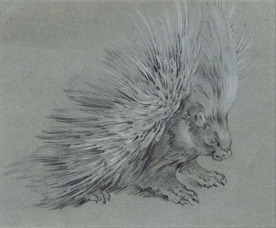 Porcupine by Жан-Батист Удри — digital art print download