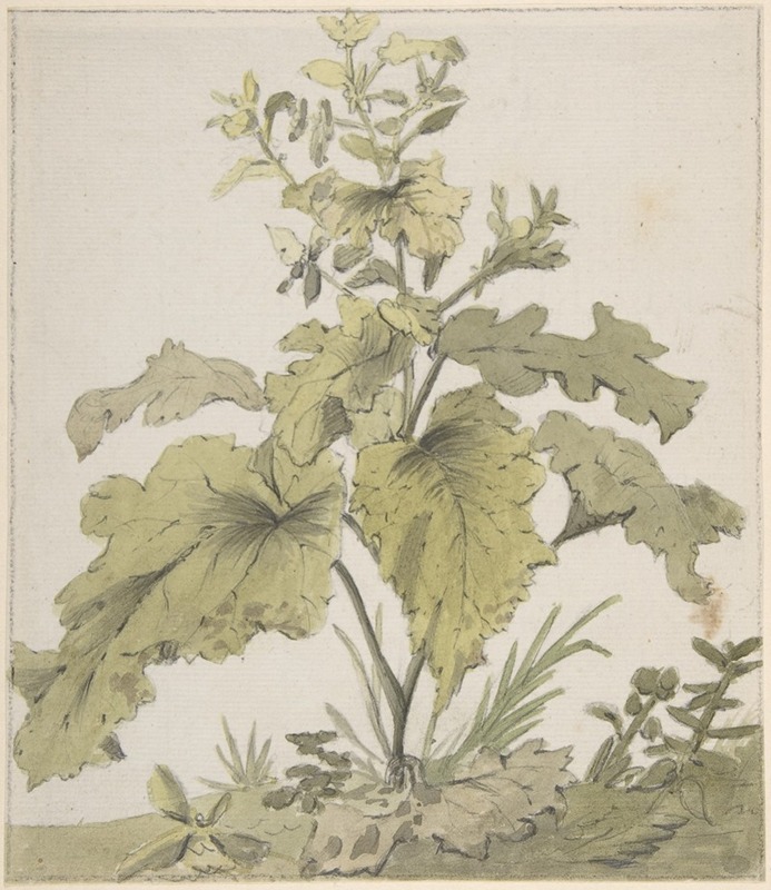 Study of a Plant by Кристиан Вильгельм Эрнст Дитрих — digital art print download
