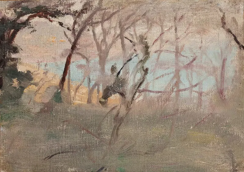 Вид в сторону Ялты by Ян Чянглиньский, 1906 — digital art print download