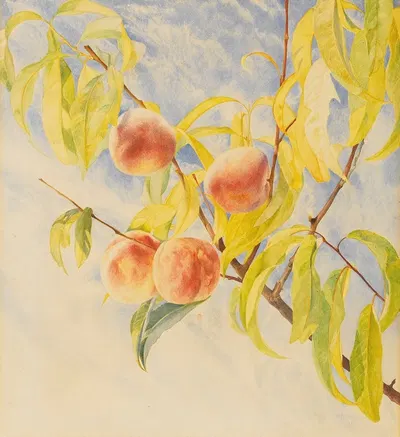 Peaches by Генри Родерик Ньюман, 1868 — digital art print download