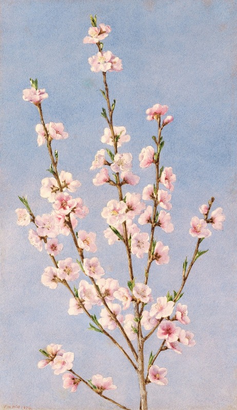 Peach Blossoms by John William Hill, 1874 — digital art print download