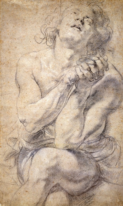 Seated Male Youth (Study for Daniel) by Петер Пауль Рубенс, 1600-1640 — digital art print download
