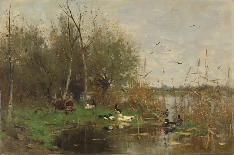 Ducks beside a duck shelter on a ditch — Geo Poggenbeek