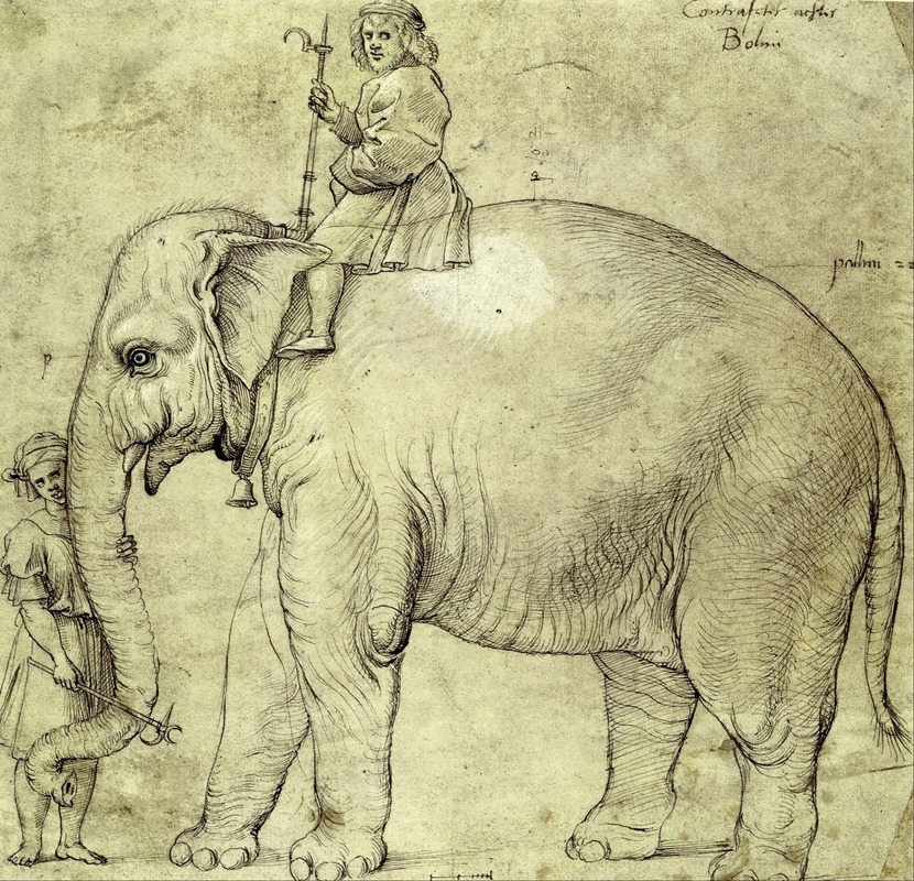 The Elephant Hanno by Рафаэль, 1516 — digital art print download