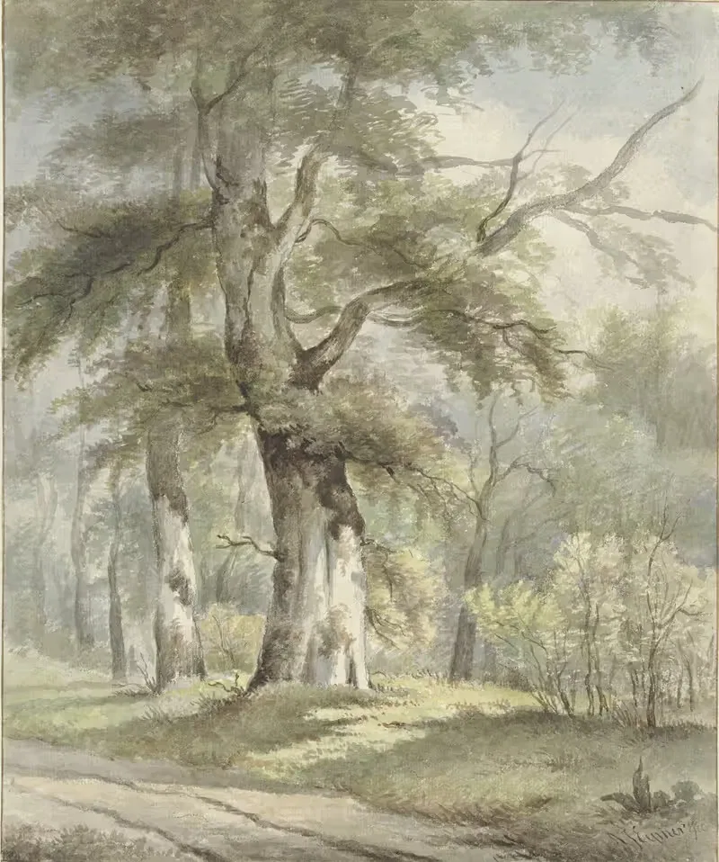 Лесной вид by Арнольдус Иоганнес Эймер, 1813 - 1863 — digital art print download