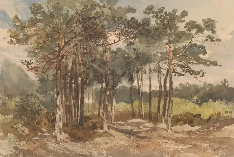 Boomgroep in de bossen bij Driebergen — Charles Rochussen