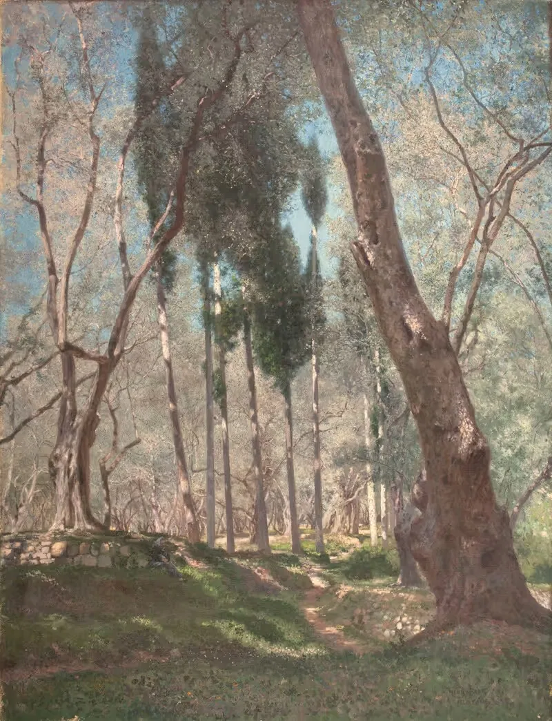 Оливы в Ментоне by Генри Брокман, 1897 — digital art print download