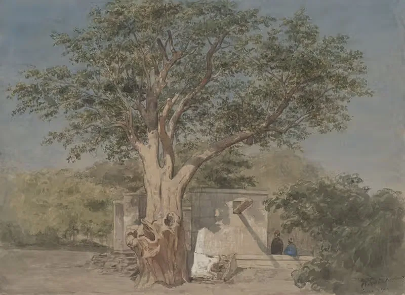 Хижка под деревом в Каире by Виллем де Фамарс Тестас, 1858 — digital art print download