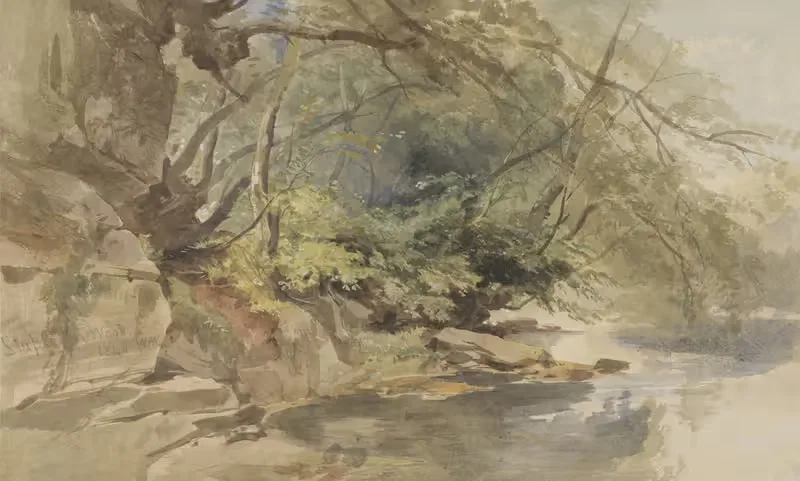 Gezicht in Stapleton Wood, bij Bristol — William James Müller