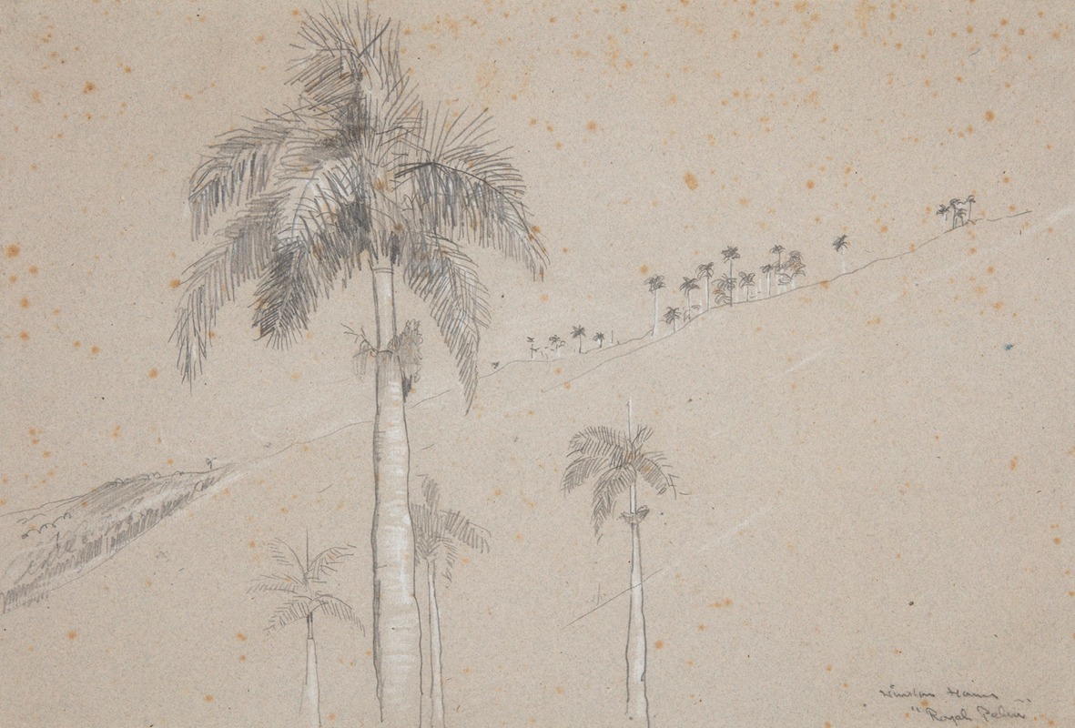 Royal Palm, Cuba by Уинслоу Хомер, 1885 — digital art print download