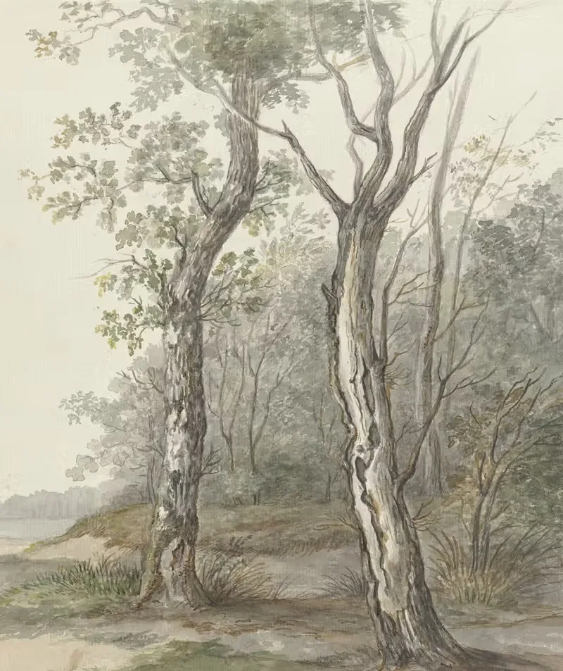 Лесной пейзаж by Ян Дасвелдт, 1780 - 1855 — digital art print download