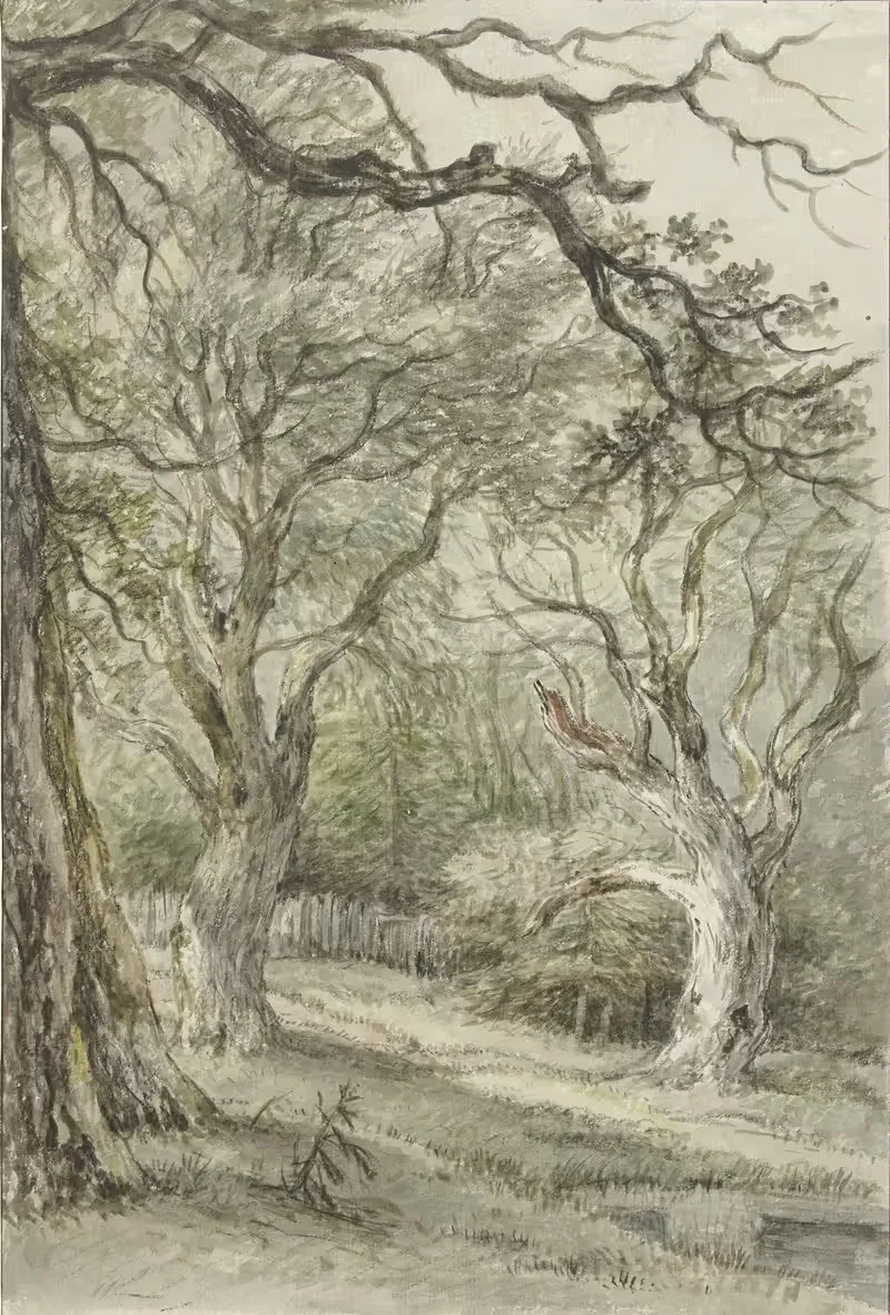Bosgezicht by Jan Hulswit, 1776 - 1822 — digital art print download