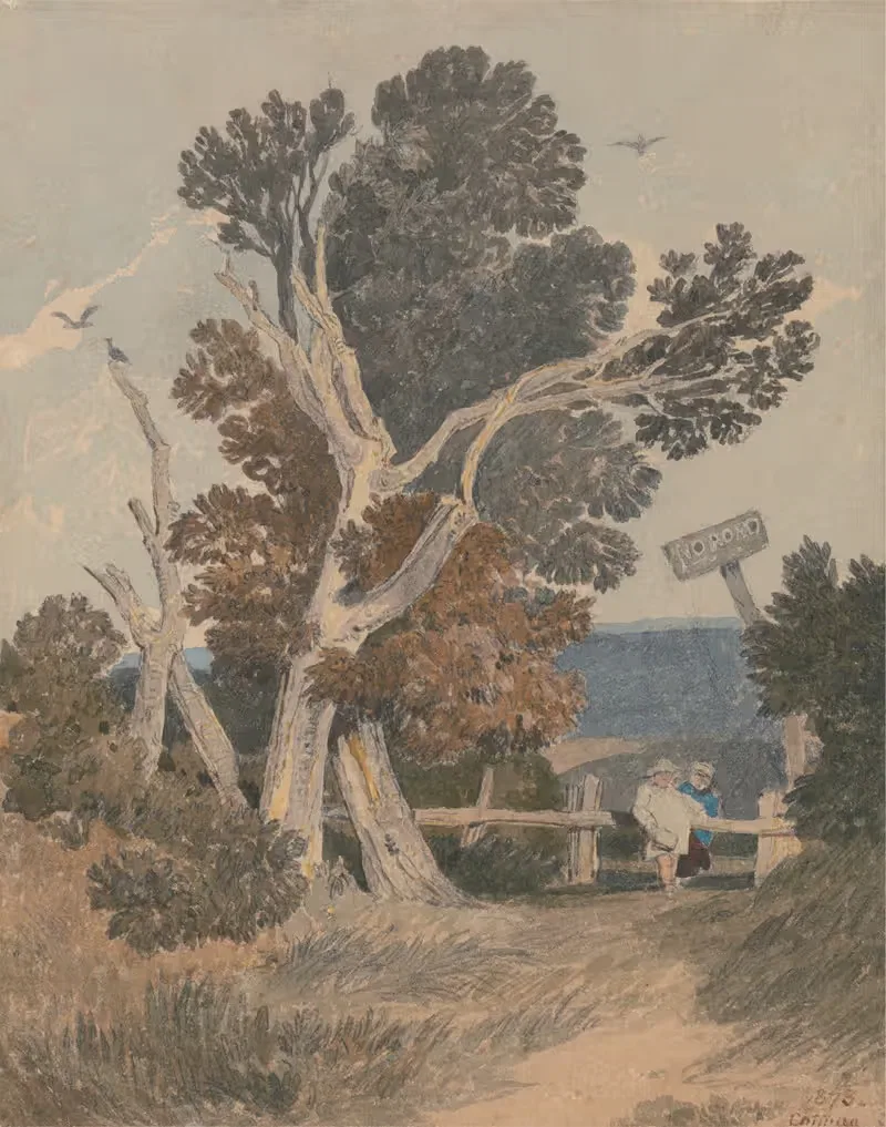 A Group of Trees by a Fence — John Sell Cotman