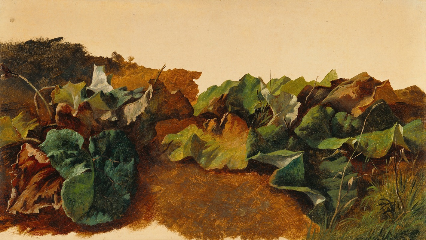 Large Butterburr Leaves and Grass — Gilles-François-Joseph Closson