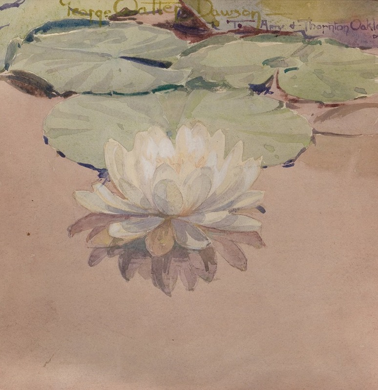 White Water Lily by George Walter Dawson, 1912 — digital art print download