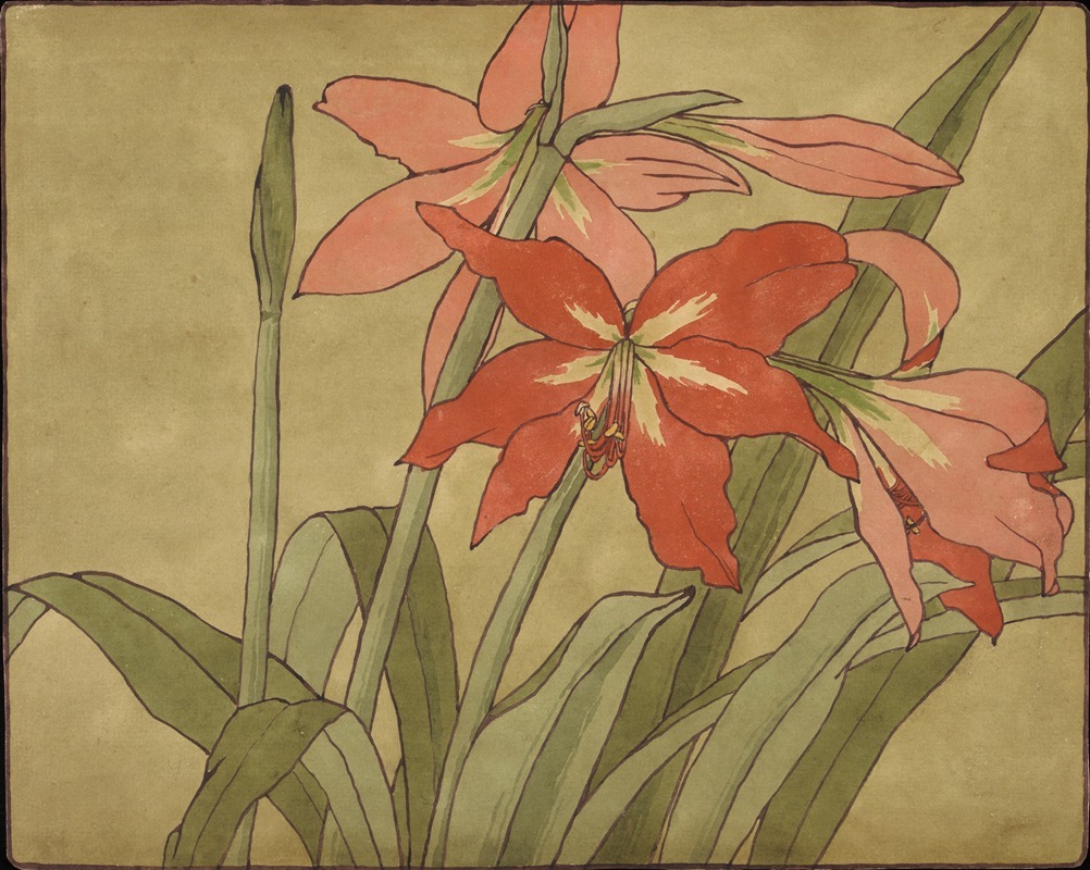 Amaryllis by Ханна Боргер Овербек — digital art print download
