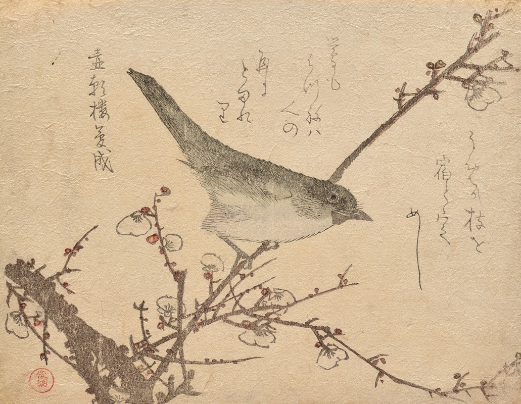 Warbler on plum branch by Кубо Сюнман — digital art print download
