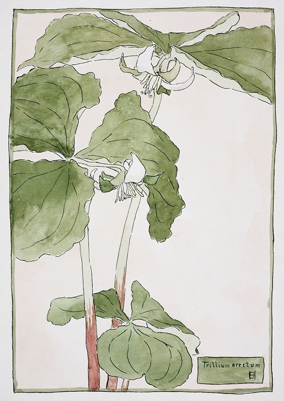 Trillium Erectum by Ханна Боргер Овербек — digital art print download