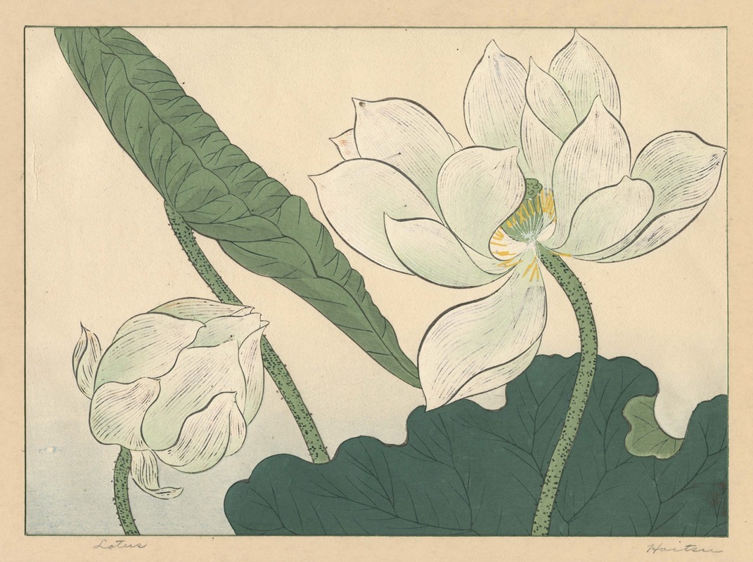 Lotus by Сакаи Хо̄ицу — digital art print download