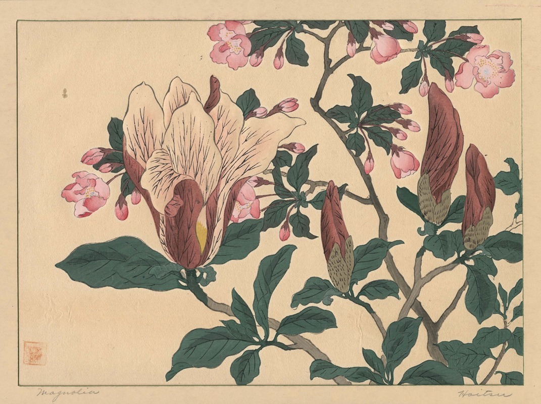 Magnolia by Sakai Hōitsu — digital art print download