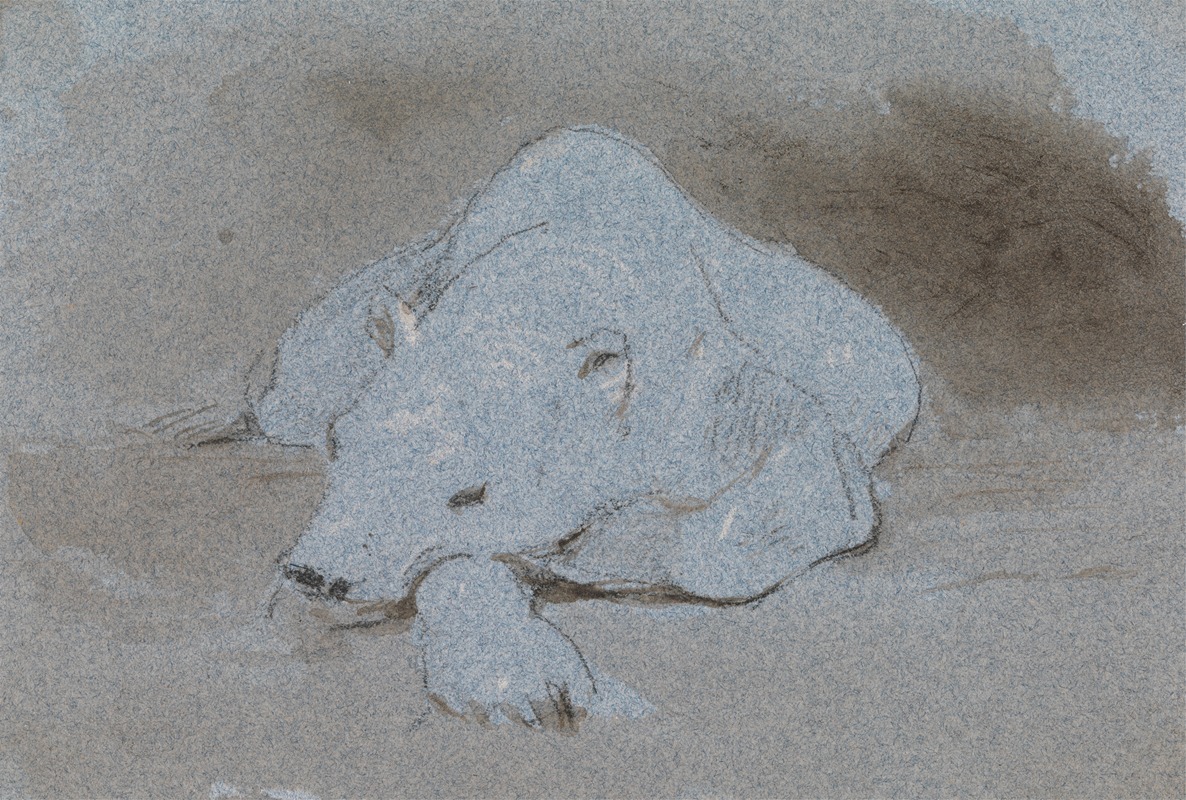 A Polar Bear, Asleep, Front View by Джордж Джонс — digital art print download