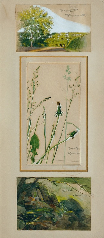 Studien nach der Natur by Йозеф Вавра, 1920 — digital art print download