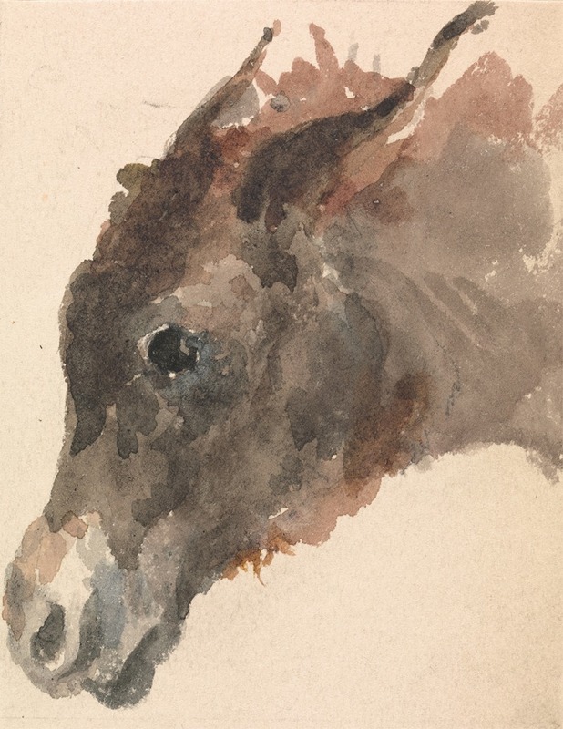 Head of a Donkey by Джордж Джонс — digital art print download