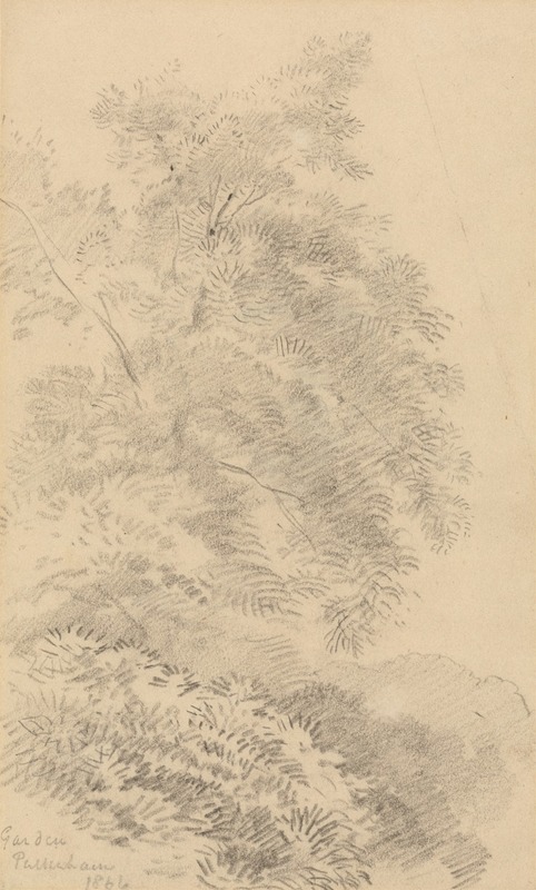 Study of a Tree on a Grassy Bank — Джордж Ричмонд