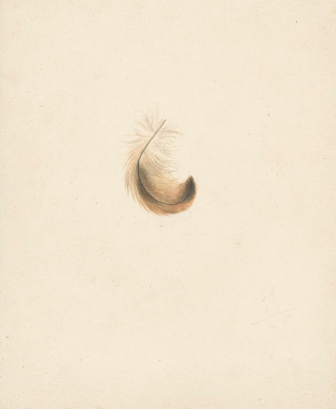 Studie van een veertje by Albertus Steenbergen, 1824 - 1900 — digital art print download