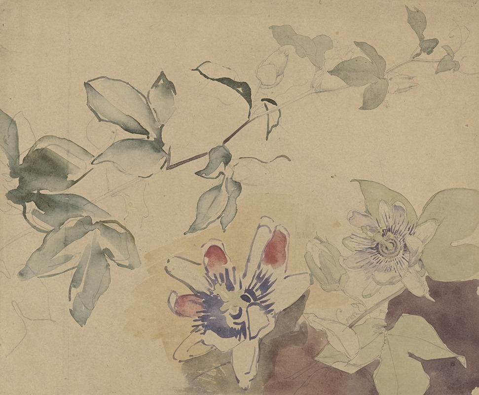 Studieblad met passiebloemen by Антон Деркиндерен, 1869 - 1925 — digital art print download