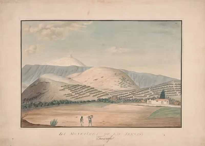 La Montaneta de Las Arenas — Alfred Diston